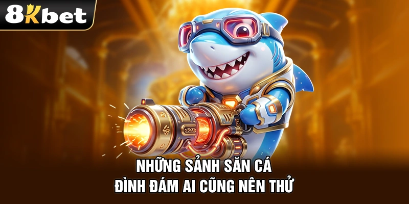 Những sảnh săn cá đình đám ai cũng nên thử